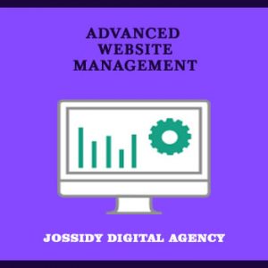 Advanced Website Management Product Photo of Jossidy Digital Agency, Abuja, Nigeria.